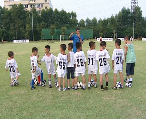 望牛墩镇群英会足球训练基地申报国家级_阳