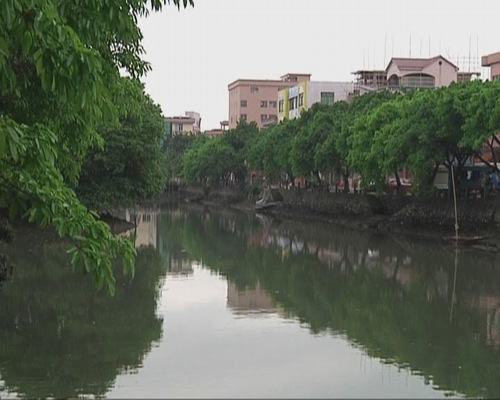 整治水环境  推动生态水乡建设