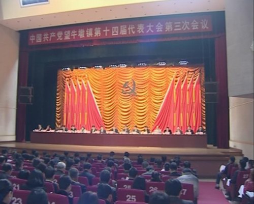 中共望牛墩镇第十四届代表大会第三次会议召开