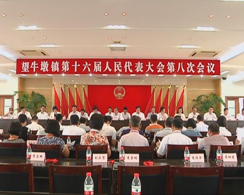 我镇召开第十六届人民代表大会第八次会议