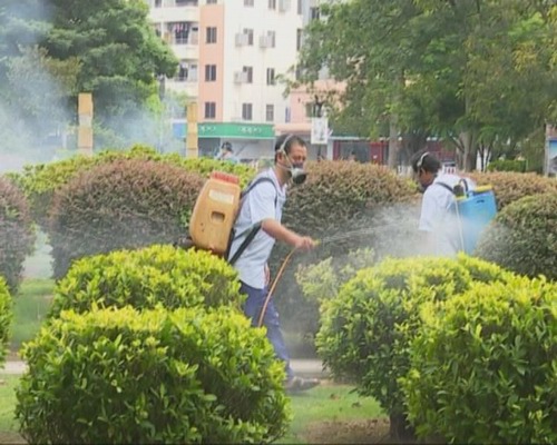 夏季应注意防蚊灭蚊 预防登革热