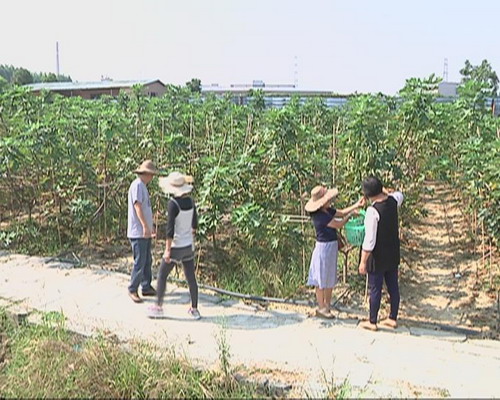 加强扶持家庭休闲农场建设