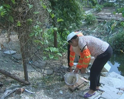 春季及时清理家中积水 防止蚊虫滋生传播疾病