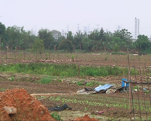 我镇积极推进农村土地确权登记颁证工作