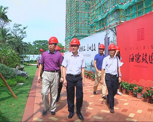 镇领导视察海德骏园项目建设情况