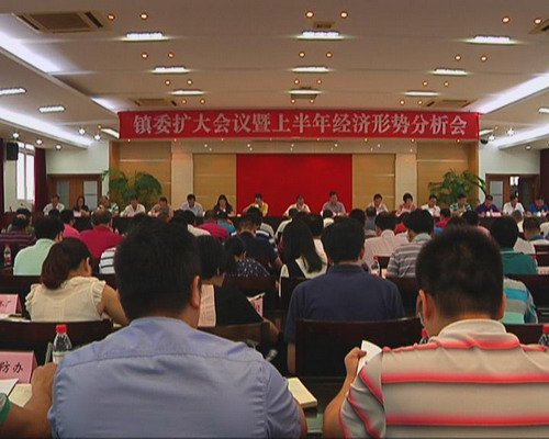 我镇召开镇委扩大会议暨上半年经济形势分析会