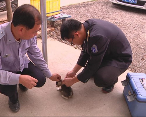 秋季狂犬疫苗防疫注射服务开始