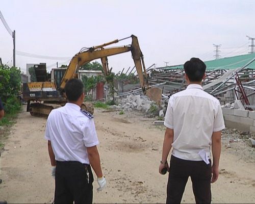 大力打击违法用地行为 保护土地资源