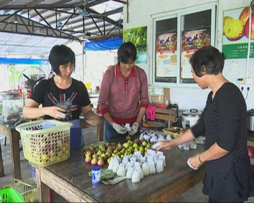 寻觅休闲农业亮点 秋季游玩兼养生