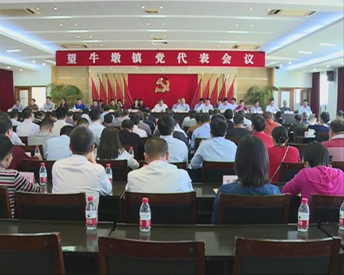 召开出席市第十四次党代会代表选举会议