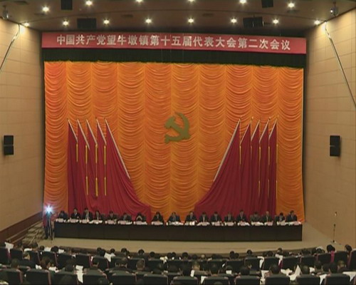 中国共产党望牛墩镇第十五届代表大会第二次会议胜利召开