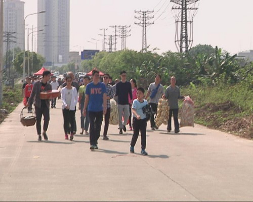 清明时节扫墓忙 市民扫墓文明有序