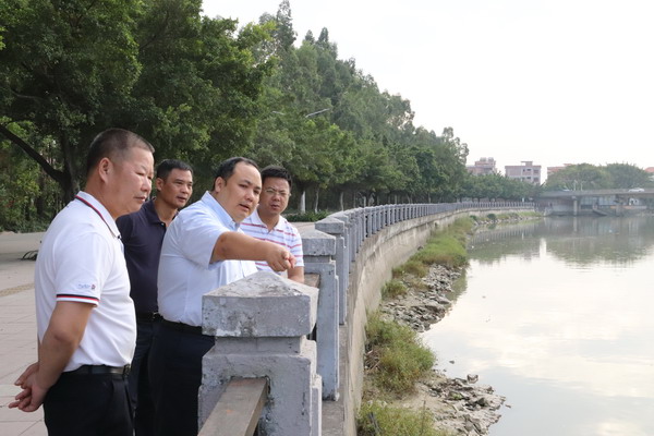 《全面推行河长制 建设美丽望牛墩》系统报道 望牛墩镇领导巡查督导河涌整治工作