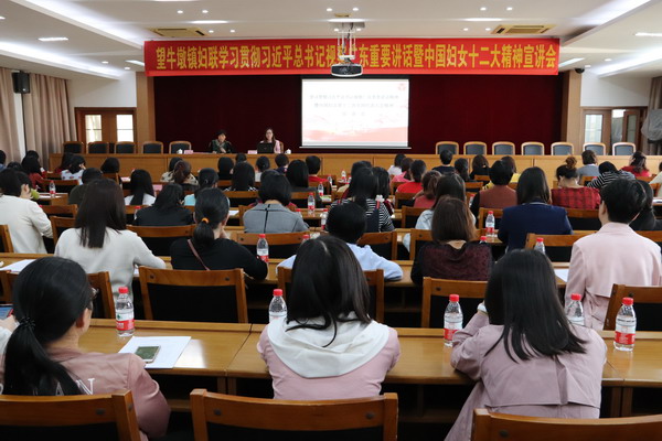 望牛墩镇妇联召开学习贯彻习近平总书记视察广东重要讲话精神暨中国妇女第十二次全国代表大会精神宣讲会