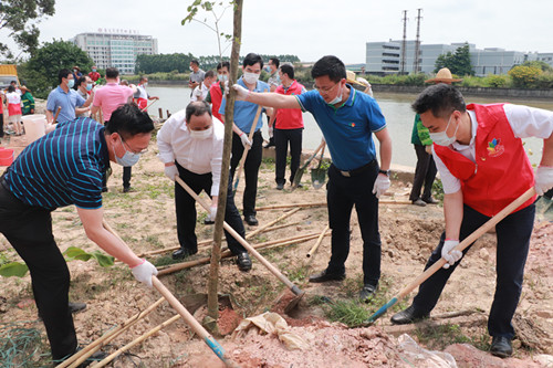 防疫不松懈 植树添新绿 望牛墩镇组织开展2020年义务植树活动