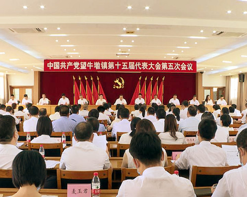 中国共产党望牛墩镇第十五届代表大会第五次会议胜利召开