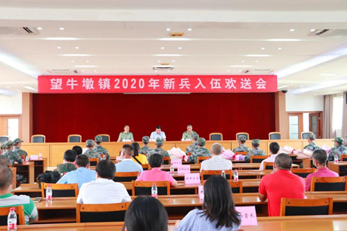 望牛墩镇召开2020年新兵入伍欢送会