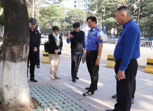 市检查组对望牛墩镇市政专项行动落实情况进行检查验收