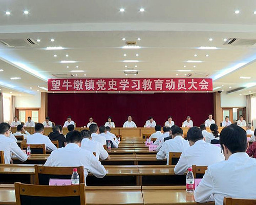 望牛墩镇召开党史学习教育动员大会