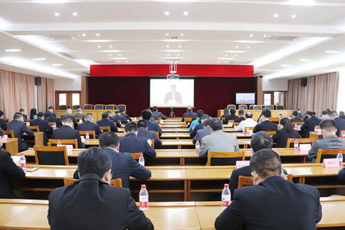 望牛墩镇组织收看收听全市党史学习教育动员大会电视电话会议