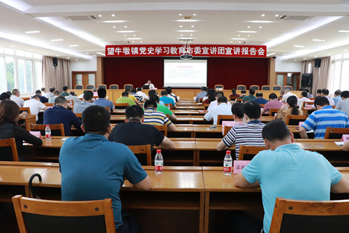 【党史学习教育】望牛墩镇举行党史学习教育市委宣讲团宣讲报告会