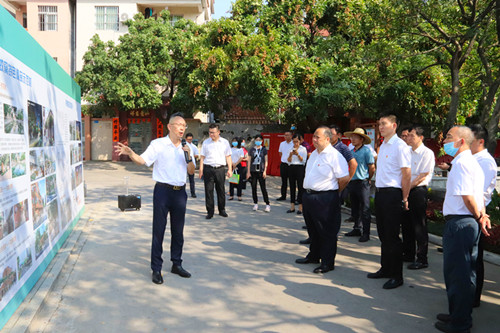 望牛墩镇党政代表团实地参观学习，借鉴成功经验，加快推动望牛墩镇农村人居环境整治