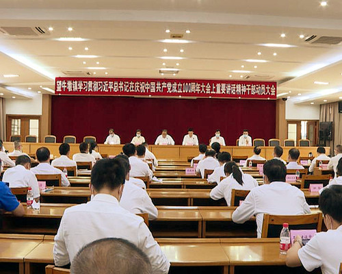 望牛墩镇召开学习贯彻习近平总书记在庆祝中国共产党成立100周年大会上重要讲话精神干部动员大会