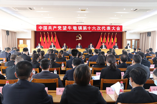 中国共产党望牛墩镇第十六次代表大会胜利召开！ 未来五年，望牛墩将奋力在水乡新城核心区建设中展现新作为