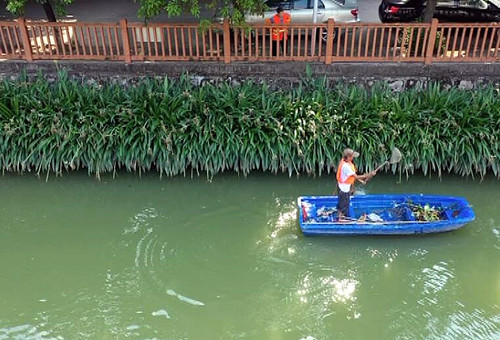 望牛墩镇持续推进河湖常态化保洁机制  巩固“清漂”成效