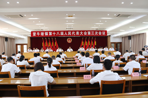 望牛墩镇第十八届人民代表大会第三次会议胜利召开