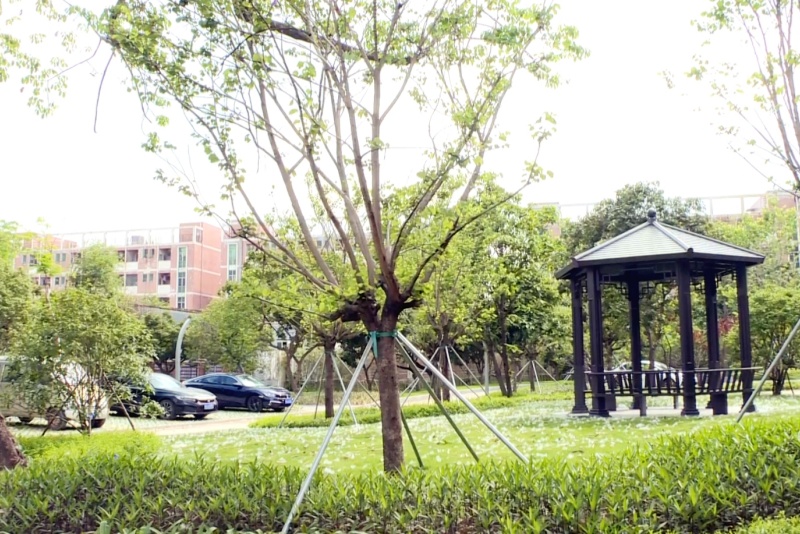 边角焕新颜！望牛墩扶涌村：闲置地变身“口袋公园”