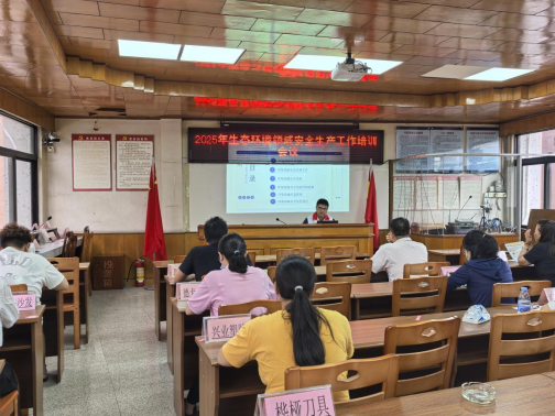 望牛墩：开展环保设施安全普法宣传，筑牢企业生产“绿色防线”