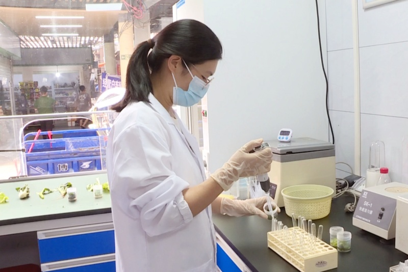 望牛墩：常态化推进蔬菜检测  严把农产品质量关