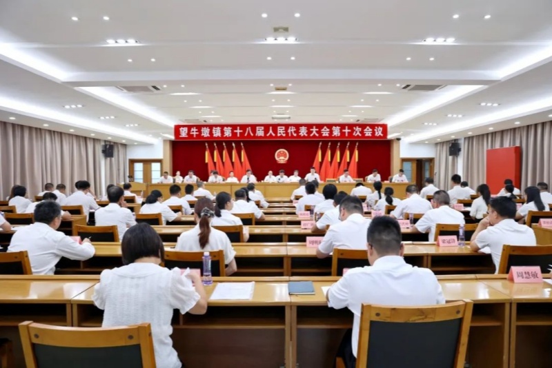 望牛墩镇第十八届人民代表大会第十次会议召开，何荣坚、王平、高二勇当选为副镇长