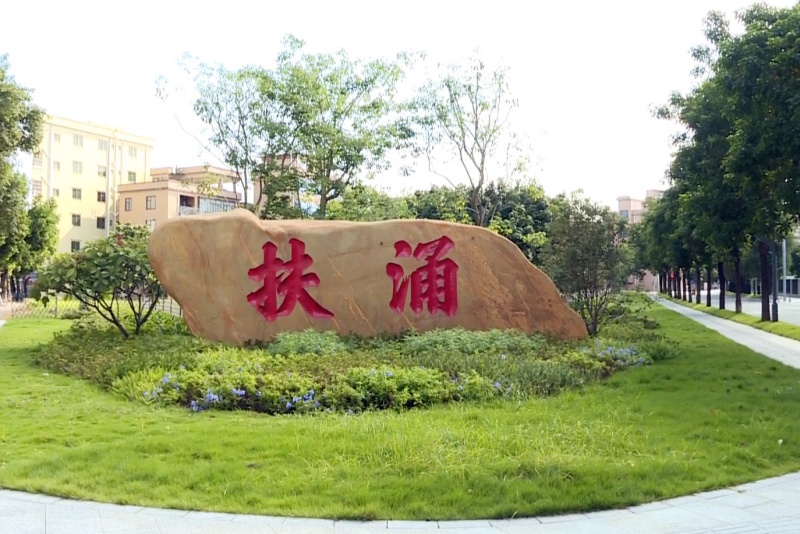 创建助力“百千万”｜望牛墩镇扶涌村：生态蝶变绘新景，人居焕新展新颜