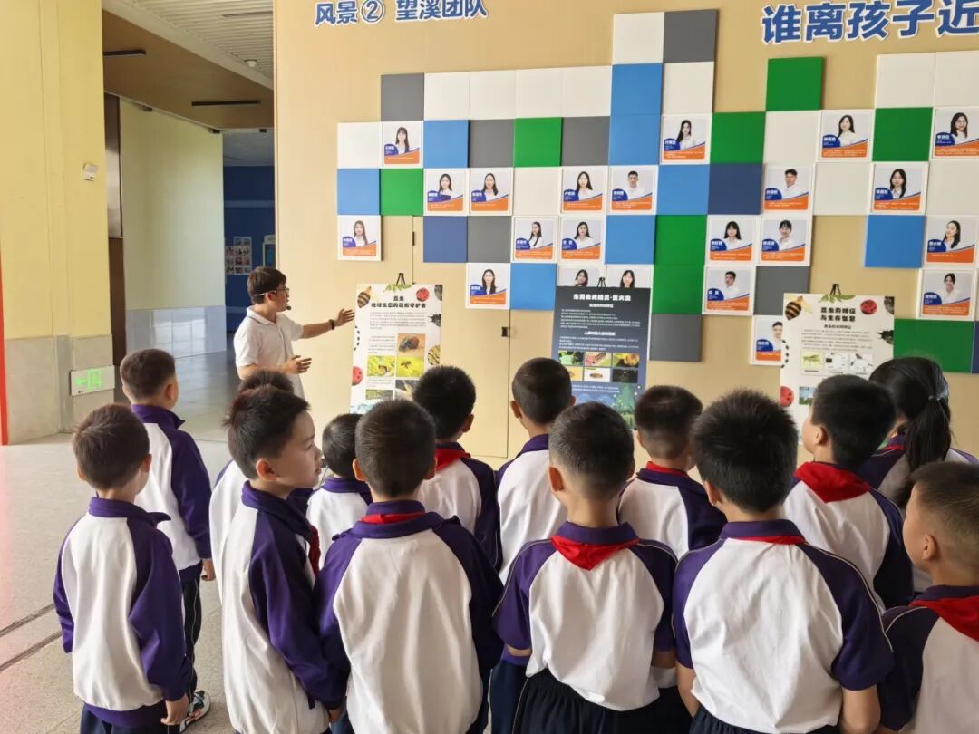全域文明迎全运｜望牛墩镇开展“小虫洞，大生态”生态文明宣传进校园活动
