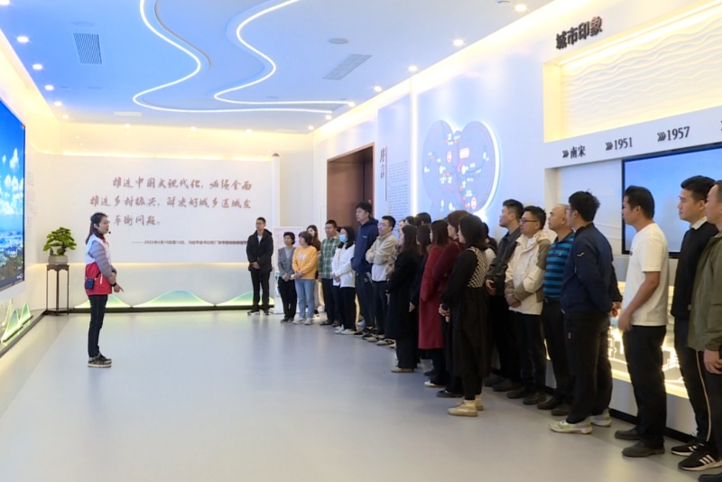 感受发展温度 共话文明未来！望牛墩镇组织基层工作者与“2亿分之一”代表参观城市会客厅