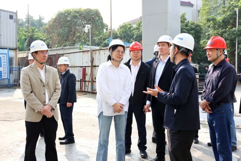 市督导组到望牛墩镇督导“百千万工程”和“隐患排查治理年”工作