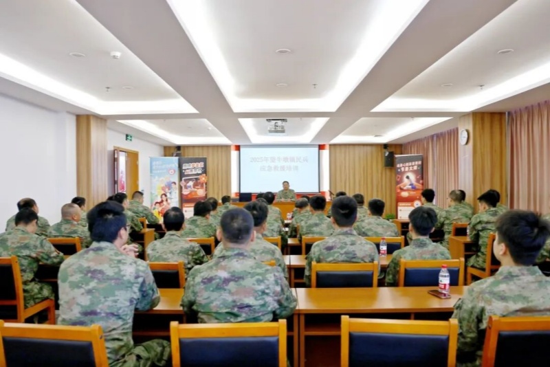 练“救”真本领，望牛墩镇开展民兵应急救援培训