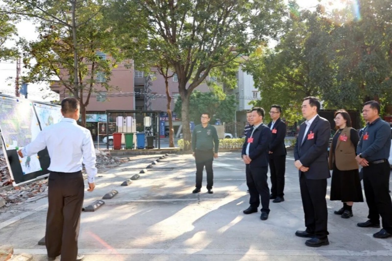 助推项目建设提质增效！望牛墩镇组织市、镇人大代表开展集中视察活动