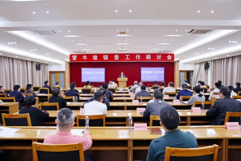望牛墩镇委工作研讨会召开，谋定&ldquo;十五五&rdquo;时期发展蓝图
