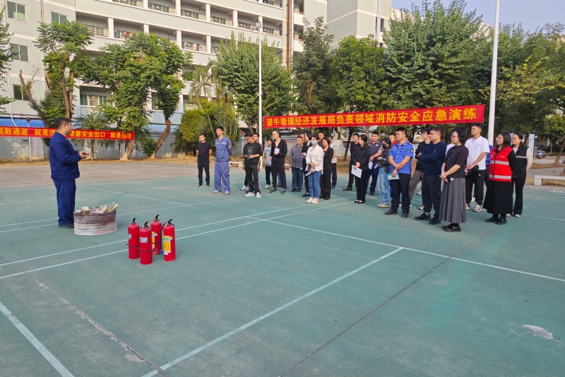 望牛墩：组织开展经济发展局负责领域消防安全培训和应急演练活动
