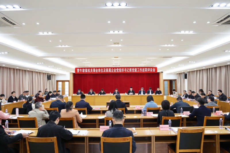 望牛墩镇召开机关事业单位及镇属企业党组织书记抓党建工作述职评议会