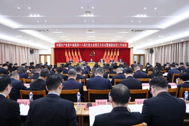 智造新枢、幸福望溪！中国共产党望牛墩镇第十六届代表大会第五次会议暨镇委经济工作会议胜利召开