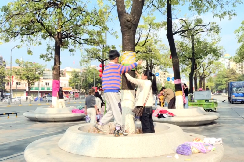 织暖冬 绘新景！望牛墩：市民为大树织就新年&ldquo;新衣&rdquo;
