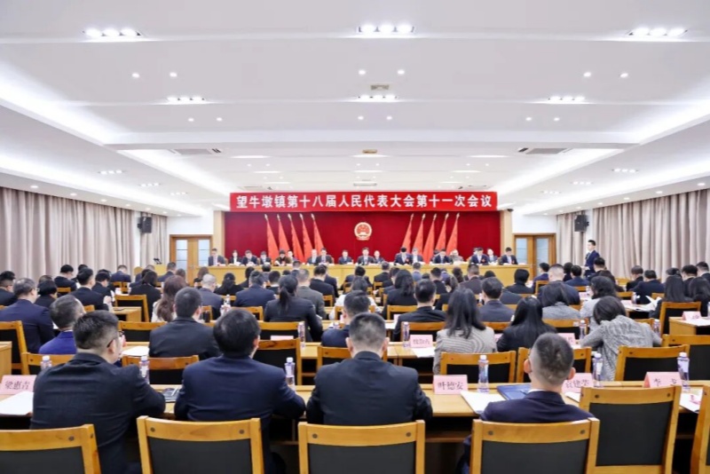 望牛墩镇第十八届人民代表大会第十一次会议胜利召开