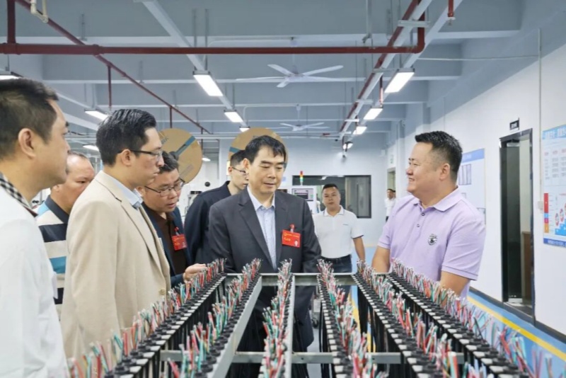 望牛墩镇组织市、镇人大代表开展重大项目、企业复工复产推进情况视察活动