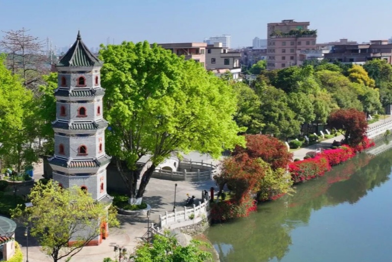 花映鹊桥添新景  七夕公园春日氛围感拉满