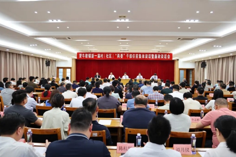 履职尽责勇担当，实干争先开新局！望牛墩镇召开新一届村（社区）&ldquo;两委&rdquo;干部任前集体谈话暨廉政谈话会