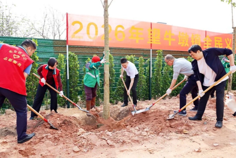 植新绿 开新局 谱新篇！望牛墩镇开展全民义务植树活动